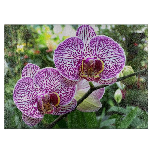 Glass Kitchen Cutting Board - Purple Fr Orchids (Front)
