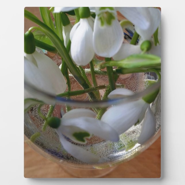 glass of snowdrops plaque (Front)