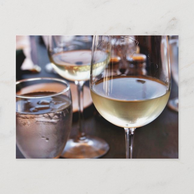 Glass Of White Wine Postcard (Front)