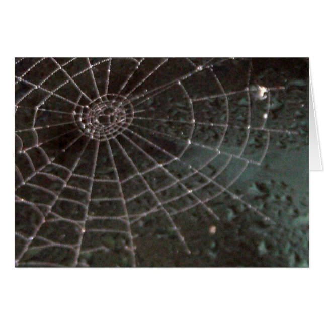 Glass Spider Web (Front Horizontal)