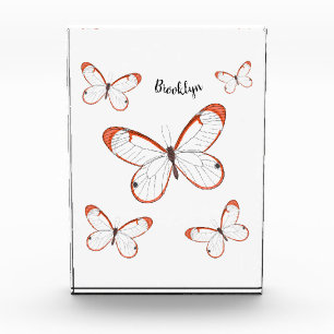 Glasswing butterfly cartoon illustration photo block