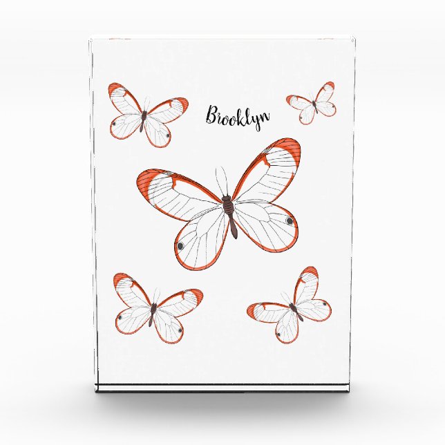 Glasswing butterfly cartoon illustration photo block (Front)