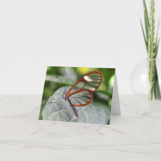 Glasswing Butterfly notecard