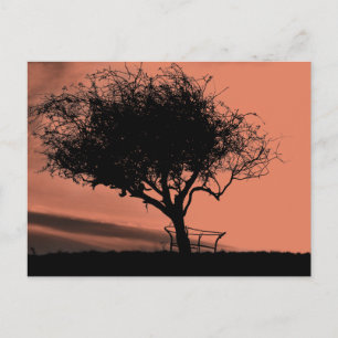 Glastonbury Hawthorn. Tree on Hill. Orange Black. Postcard