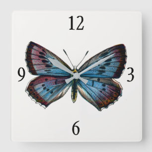 Glaucopsyche arion - The Large Blue Butterfly Square Wall Clock