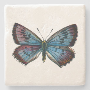 Glaucopsyche arion - The Large Blue Butterfly Stone Coaster