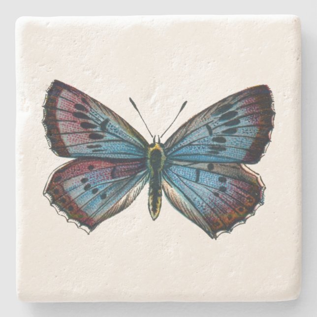 Glaucopsyche arion - The Large Blue Butterfly Stone Coaster (Front)