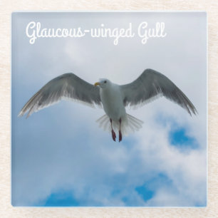 Glaucous-winged Gull Glass Coaster