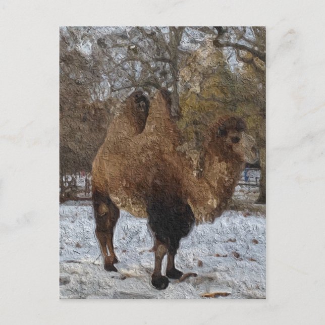 Glazed Camel Art Postcard (Front)
