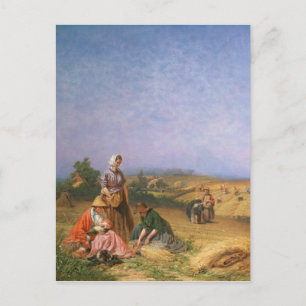 Gleaning Postcard