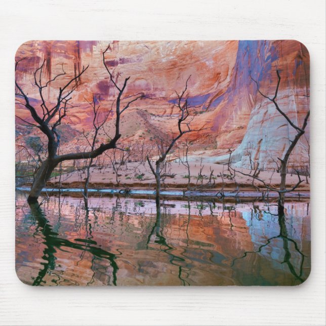 Glen Canyon National Recreation Area, Utah Mouse Pad (Front)