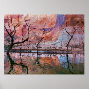 Glen Canyon National Recreation Area, Utah Poster