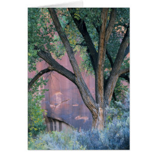 Glen Canyon National Recreation Area, Utah. USA.