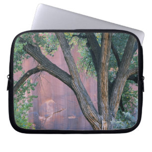 Glen Canyon National Recreation Area, Utah. USA. Laptop Sleeve