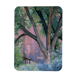 Glen Canyon National Recreation Area, Utah. USA. Magnet