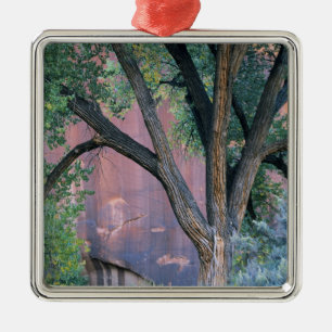 Glen Canyon National Recreation Area, Utah. USA. Metal Ornament