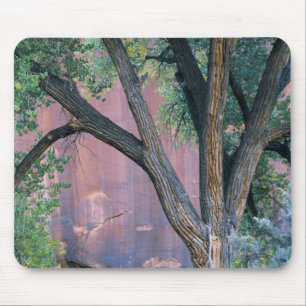 Glen Canyon National Recreation Area, Utah. USA. Mouse Pad