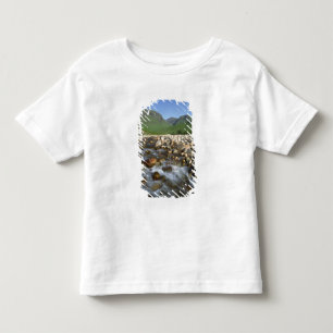 Glen Etive, Highlands, Scotland 2 Toddler T-Shirt