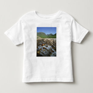 Glen Etive, Highlands, Scotland 2 Toddler T-Shirt
