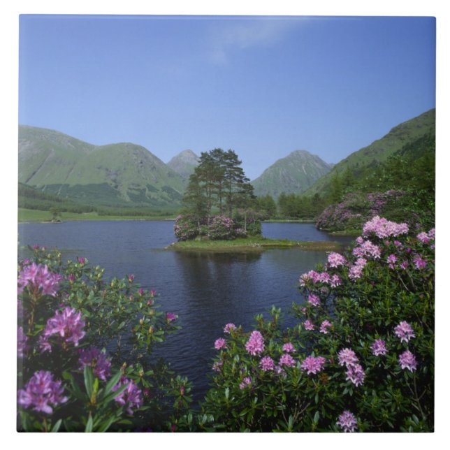 Glen Etive, Highlands, Scotland Ceramic Tile (Front)