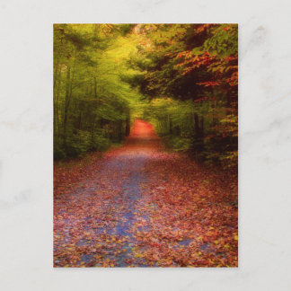 Glen Forest Postcard