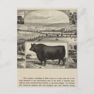 Glen Galloway Ranch, Oberlin, Kansas Postcard