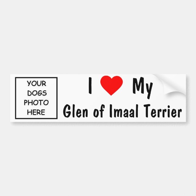 Glen of Imaal Terrier Bumper Sticker (Front)