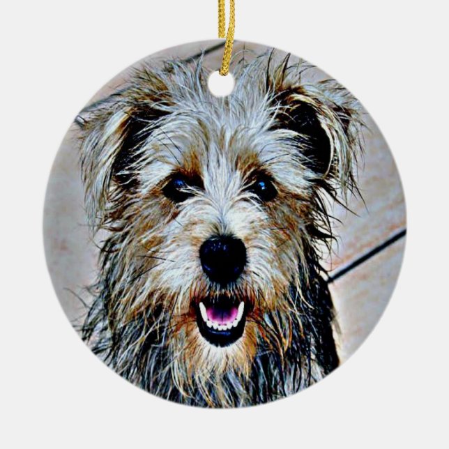 Glen of Imaal Terrier Ceramic Tree Decoration (Front)