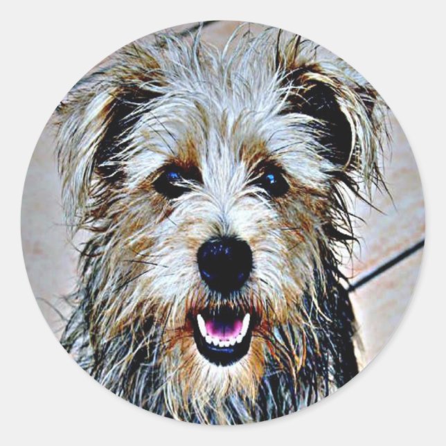 Glen of Imaal Terrier Classic Round Sticker (Front)