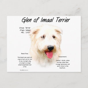 Glen of Imaal Terrier History Design Postcard