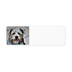 Glen of Imaal Terrier Return Address Label