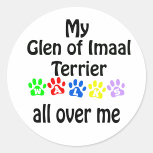 Glen of Imaal Terrier Walks Design Classic Round Sticker