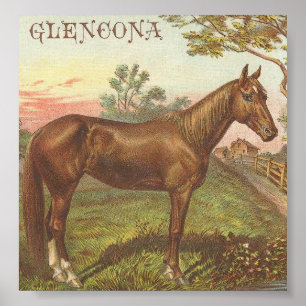 Glencona Poster