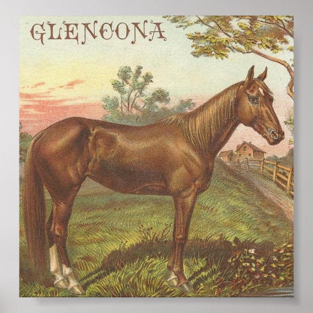 Glencona Poster (Front)