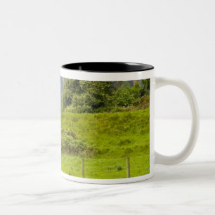 Glendalough, Ireland. Glendalough is one of Two-Tone Coffee Mug