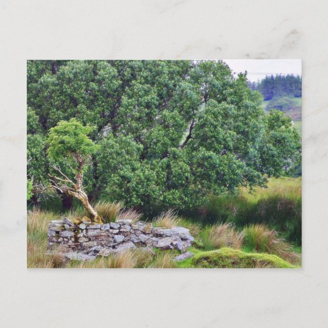 Glengesh Pass In Ireland Landscape Postcard (Front)