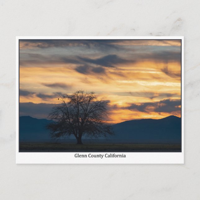 Glenn County California Sunset Postcard (Front)