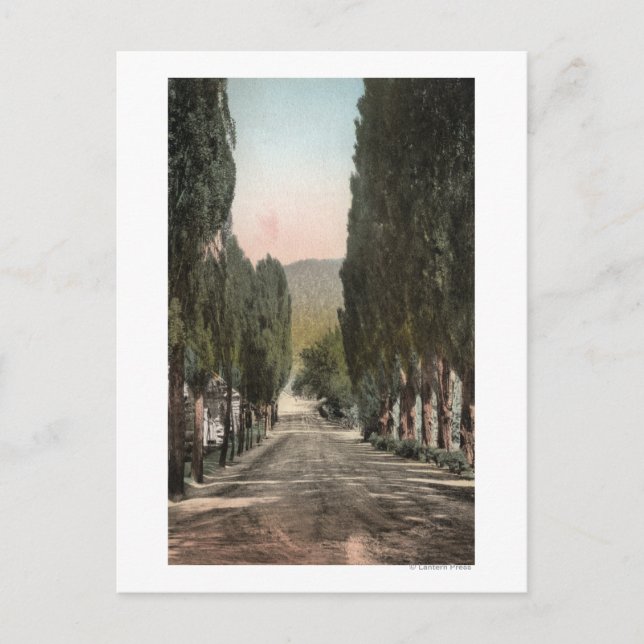 Glenwood Springs, Colorado Postcard (Front)