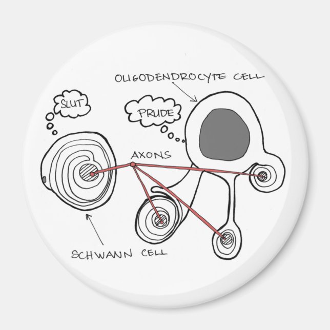 Glial Cells Magnet (Front)