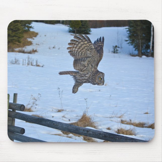Gliding Great Grey Owl and Snow Wildlife Raptor Mouse Pad (Front)