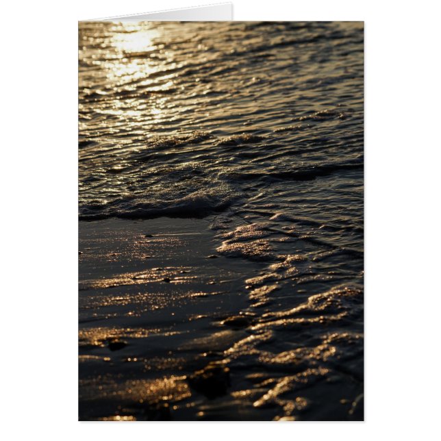Glistening Beach Morning (Front)