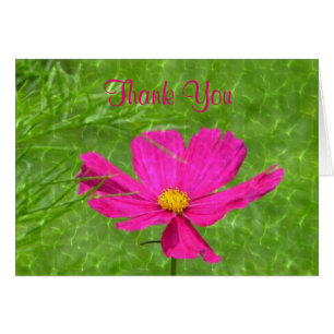 Glistening Cosmos Thank You Card