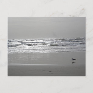 Glistening Waves Postcard