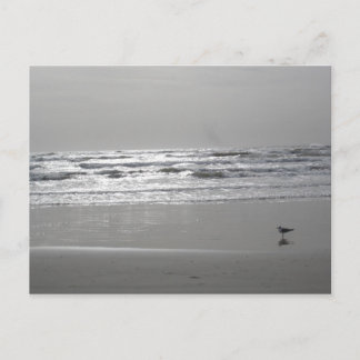 Glistening Waves Postcard