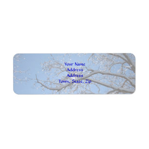 Glittering Ice and Snow Covered Trees Return Address Label