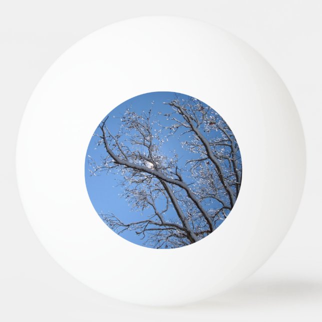 Glittering Ice Snow Covered Trees Ping Pong Ball (Front)