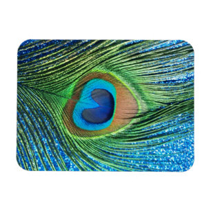 Glittery Blue Peacock Feather Still Life Magnet