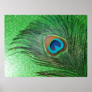 Glittery Green Peacock Feather Still Life Poster