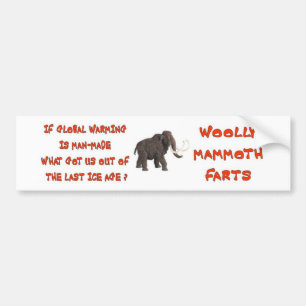 GLOBAL WARMING HOAX BUMPER STICKER
