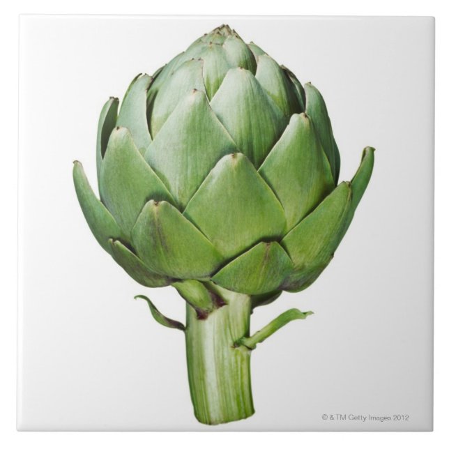 Globe Artichoke on White Background Cut Out Ceramic Tile (Front)